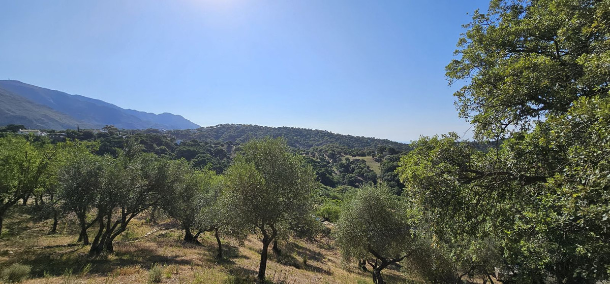 Finca for sale in Casares, Málaga, Spain