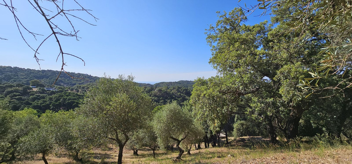 Finca for sale in Casares, Málaga, Spain