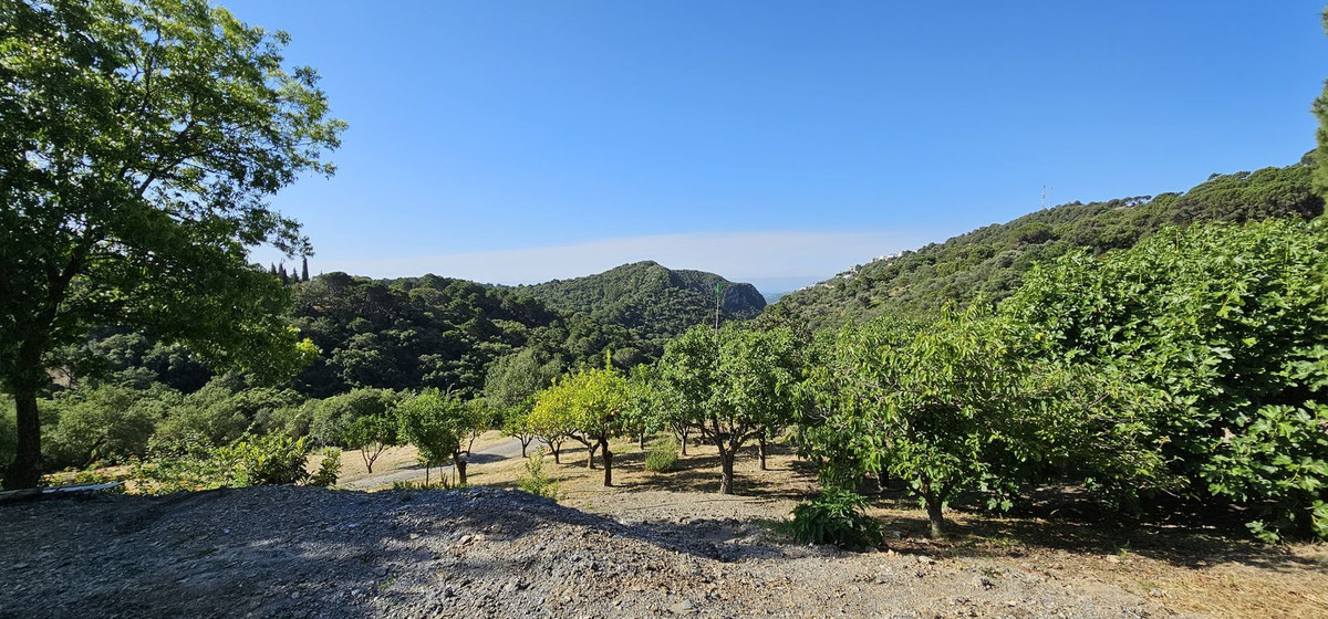 Finca for sale in Casares, Málaga, Spain