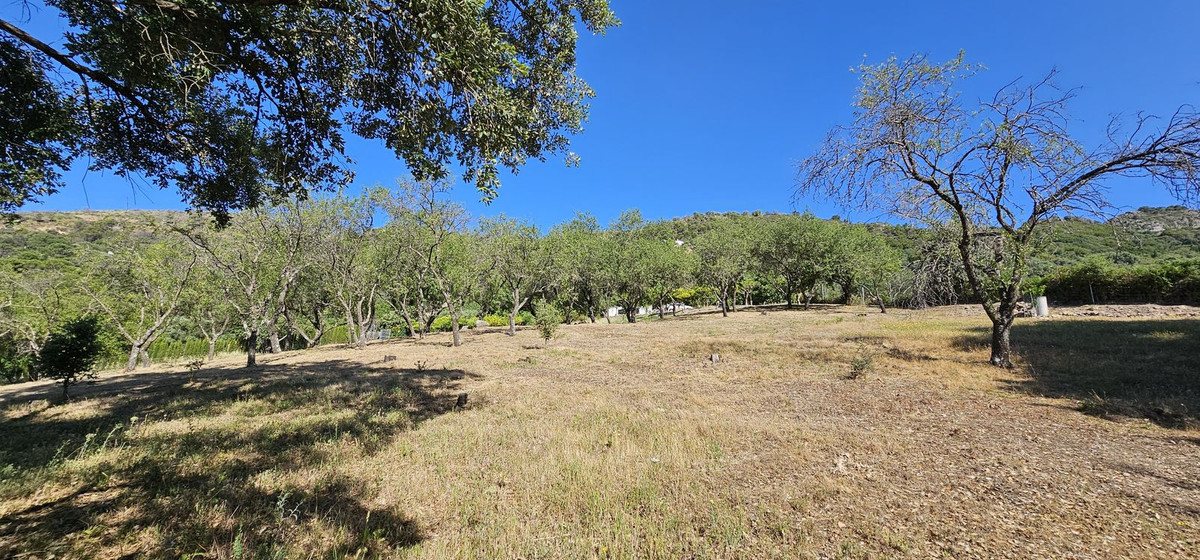 Finca for sale in Casares, Málaga, Spain