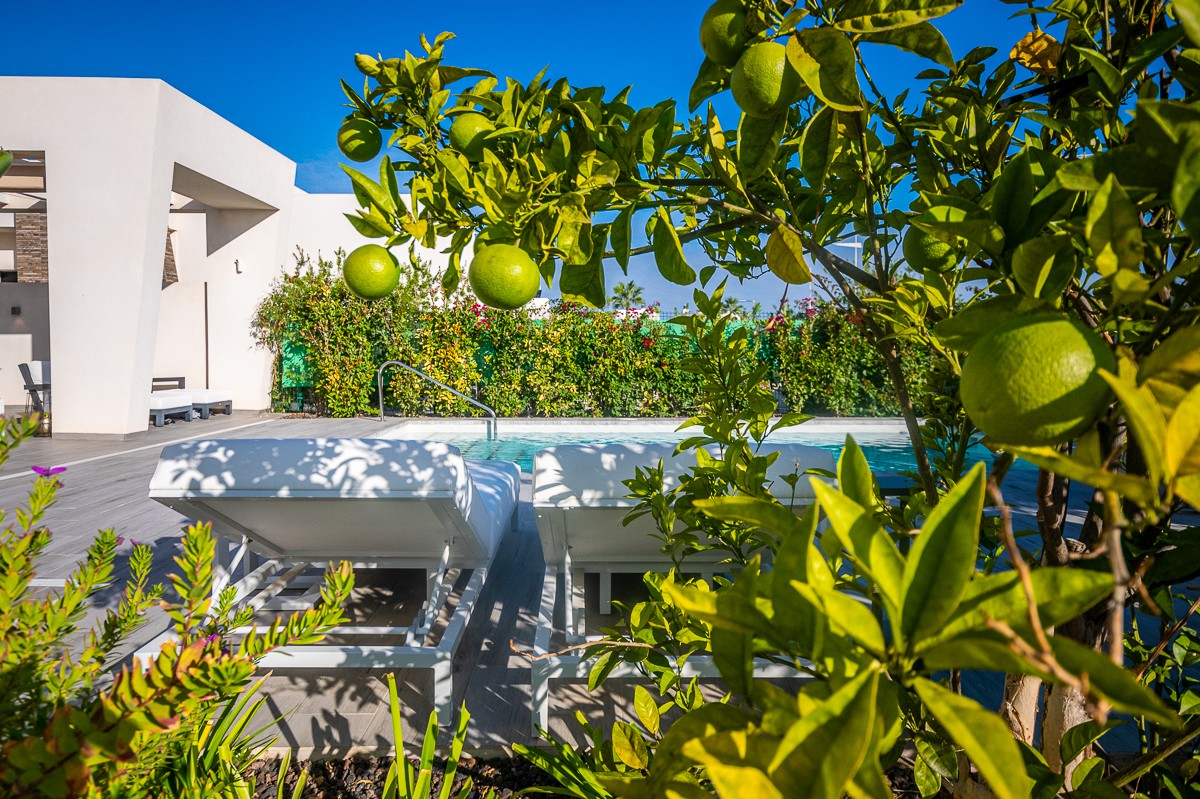 Villa en venta en Algorfa