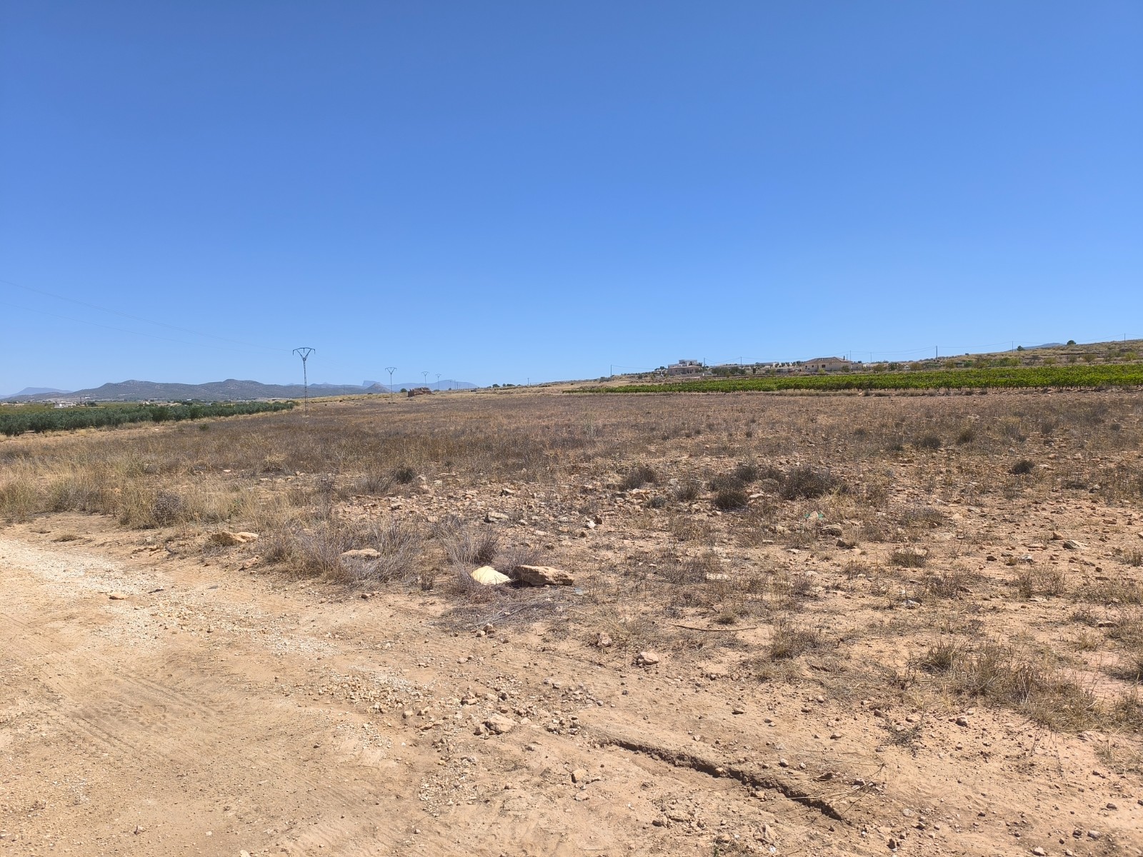 Finca for sale in Pinoso, Alicante, Spain