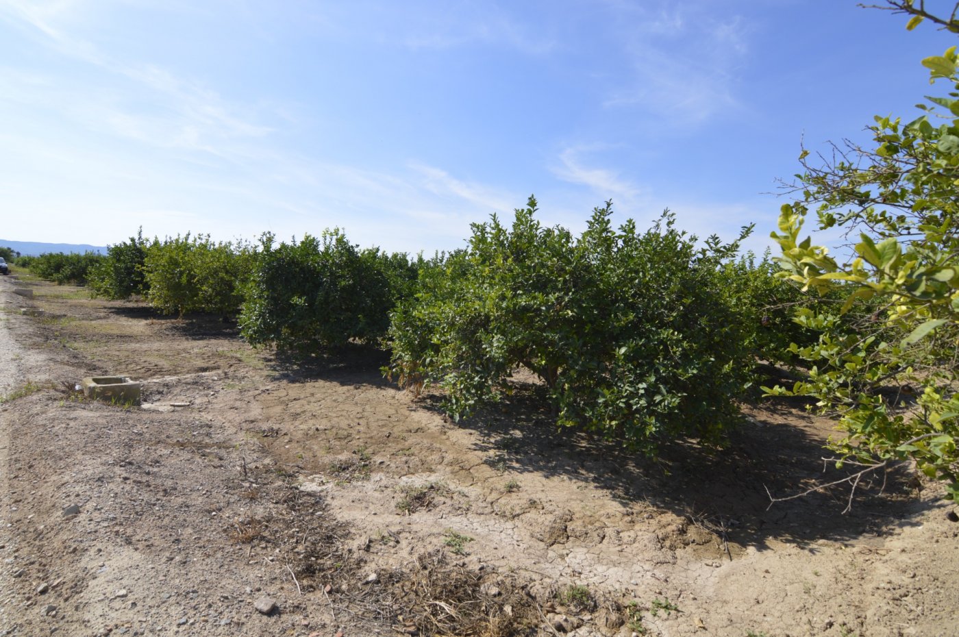 Finca for sale in Santomera, Murcia, Spain