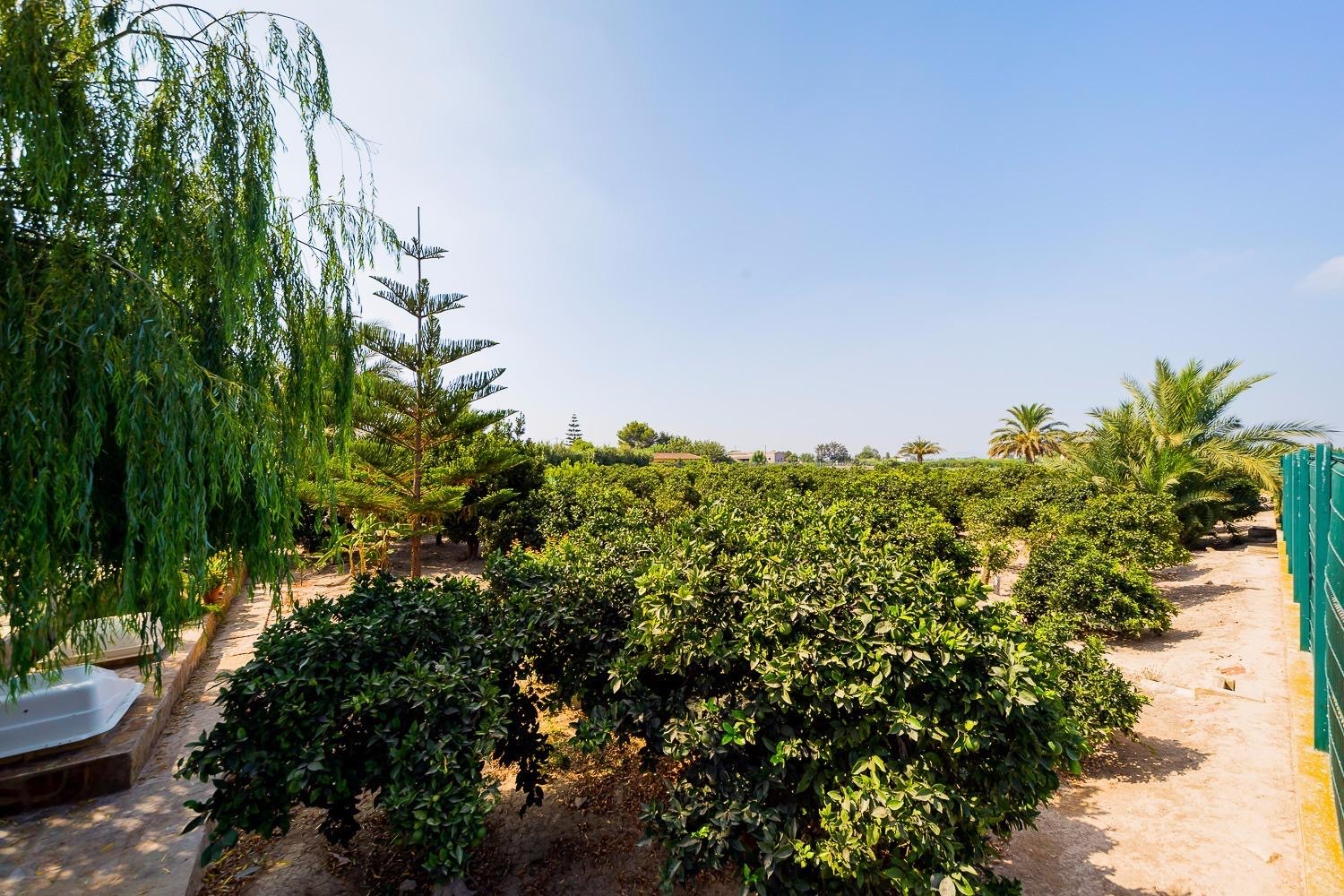Country House for sale in Almoradi, Alicante, Spain