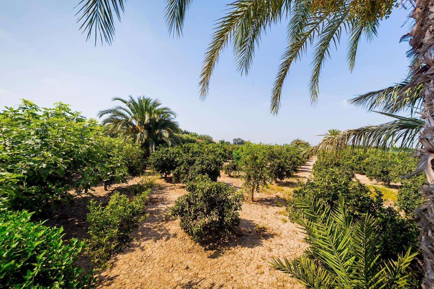 Country House for sale in Almoradi, Alicante, Spain