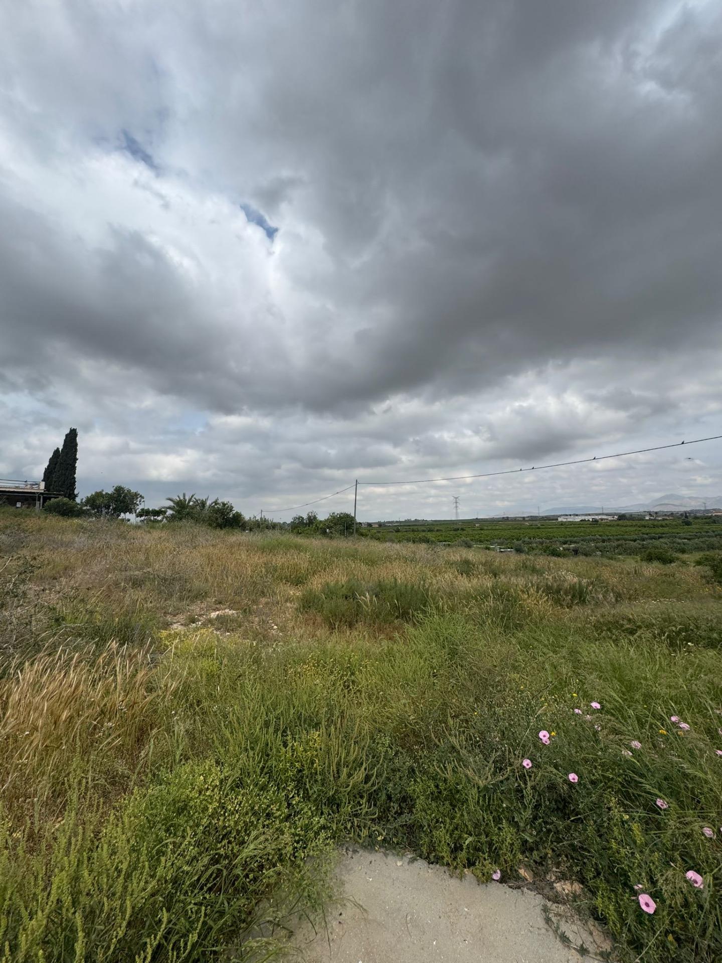 Finca en venta en Abanilla
