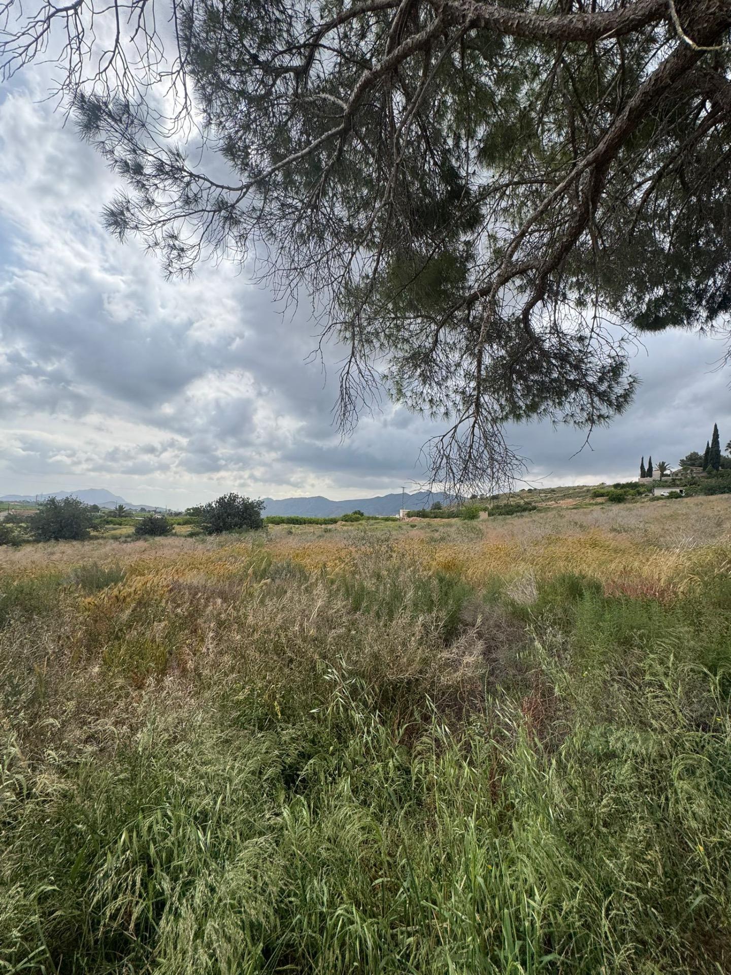 Finca en venta en Abanilla