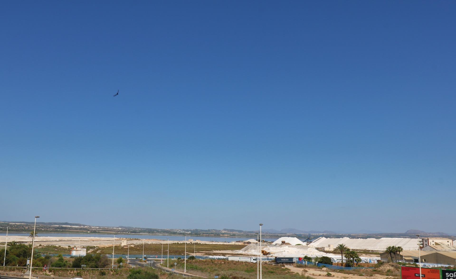 Apartment for sale in Torrevieja, Alicante, Spain