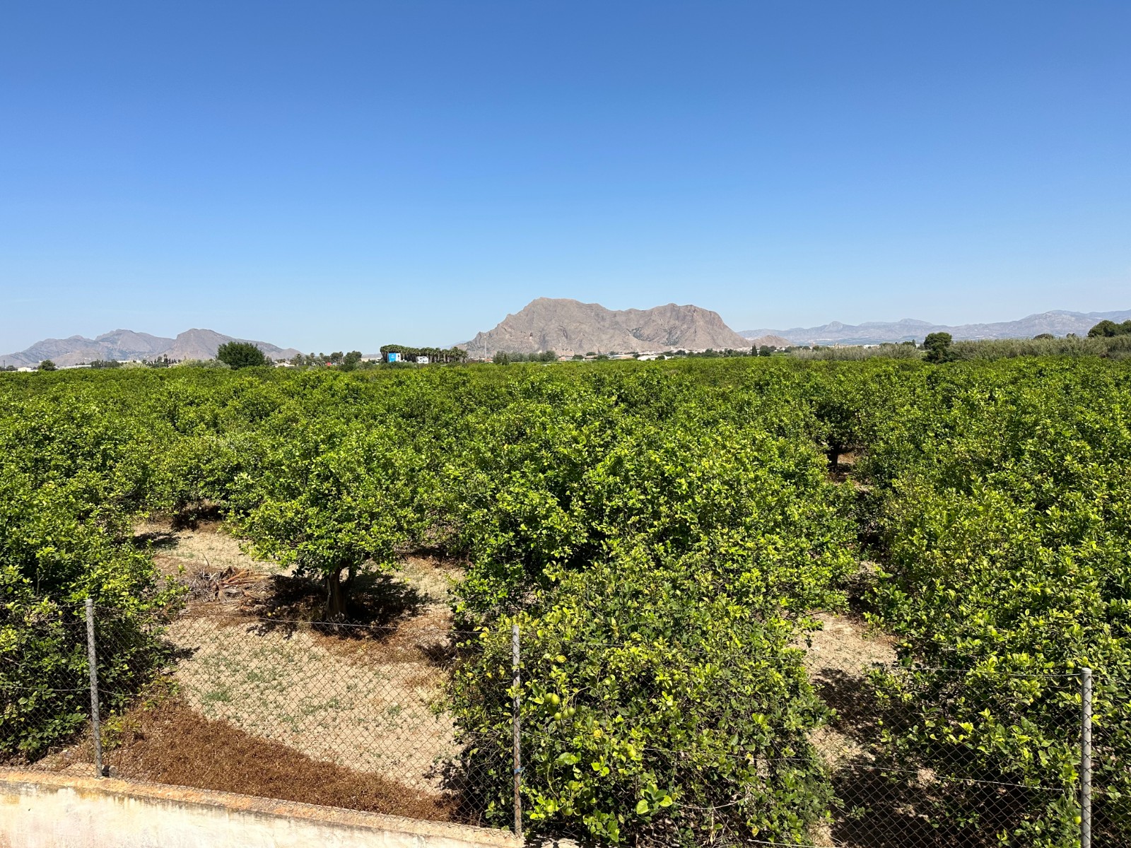 Town House en venta en Benejuzar