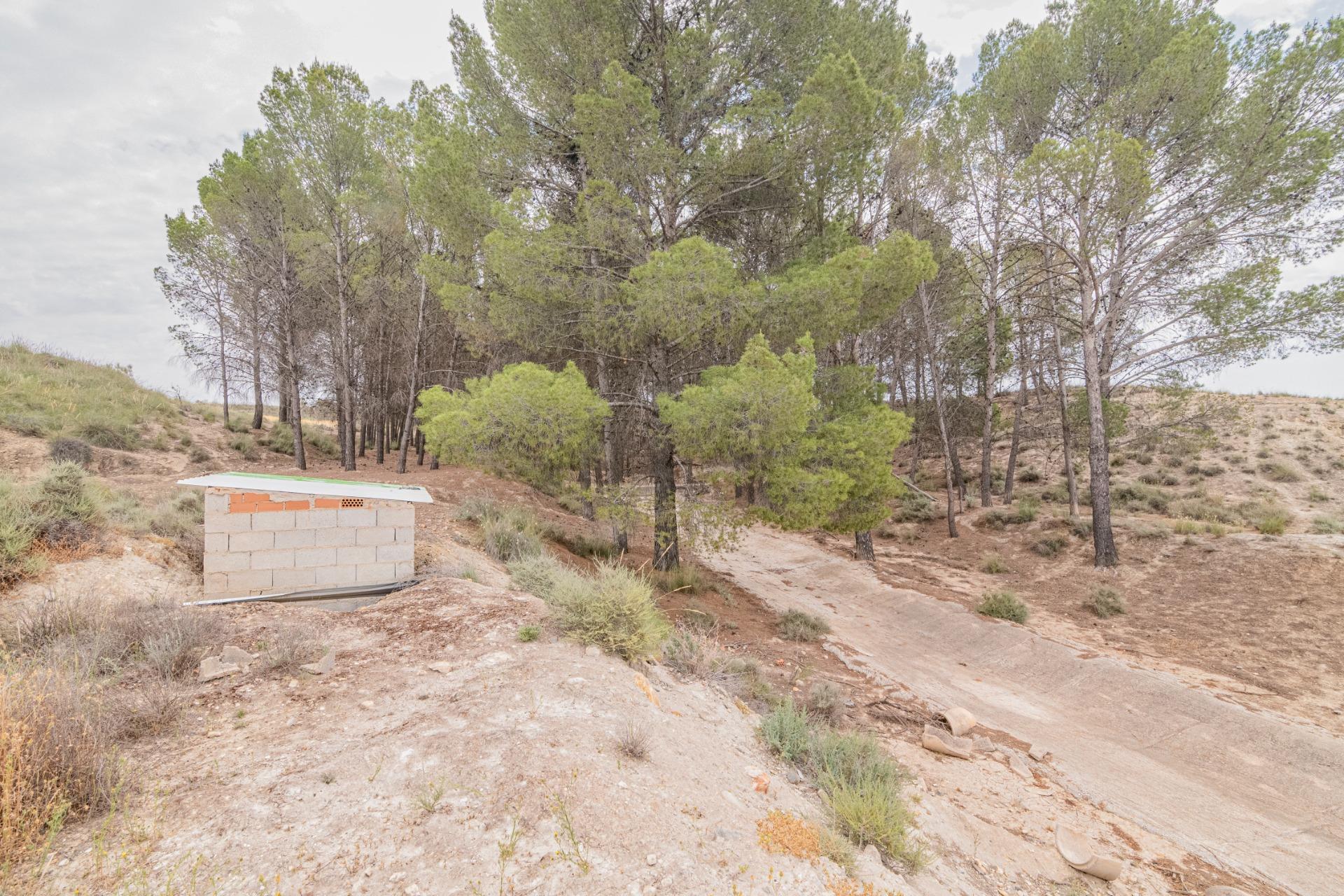 Finca for sale in Baza, Granada, Spain