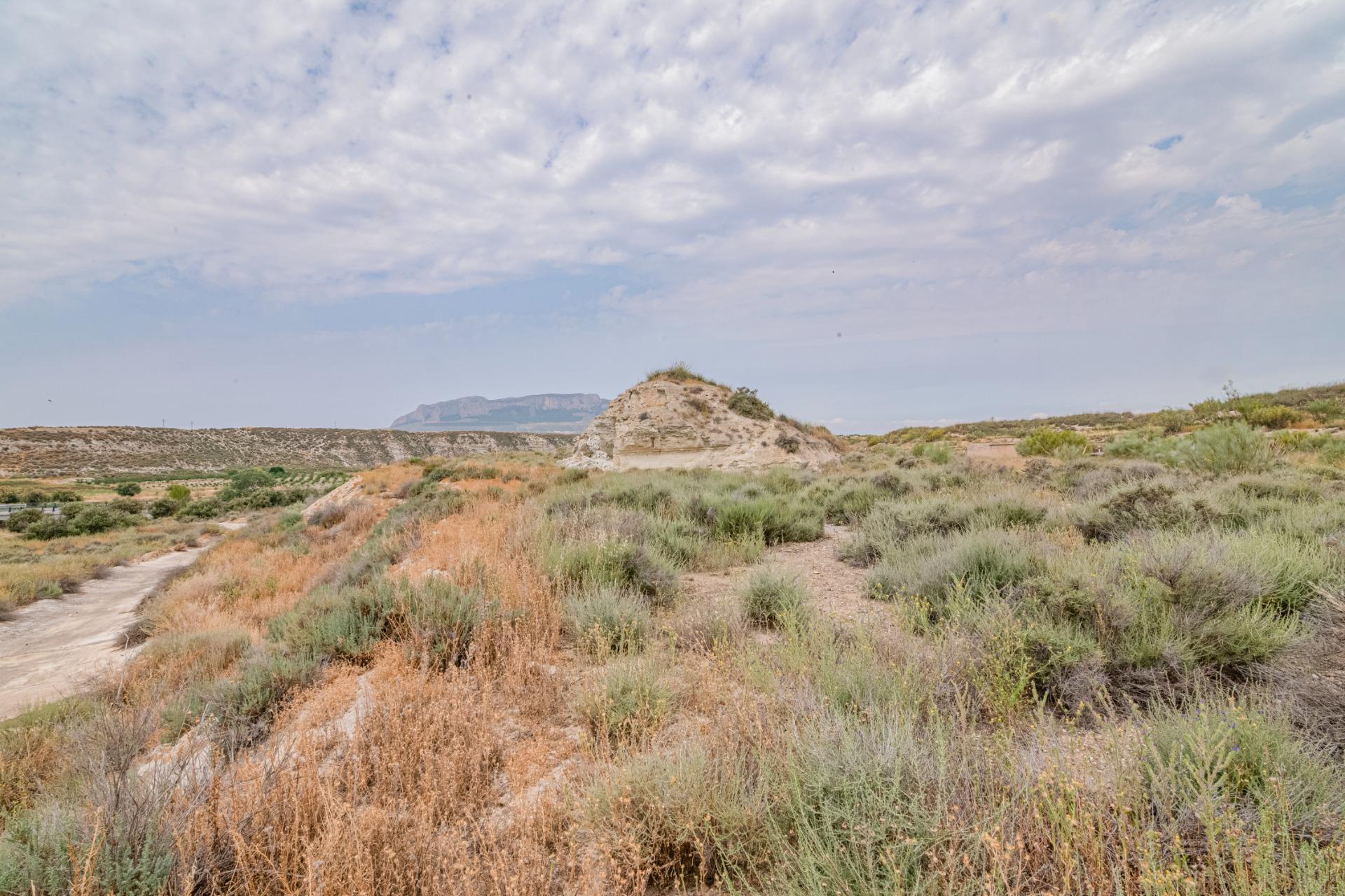 Finca for sale in Baza, Granada, Spain