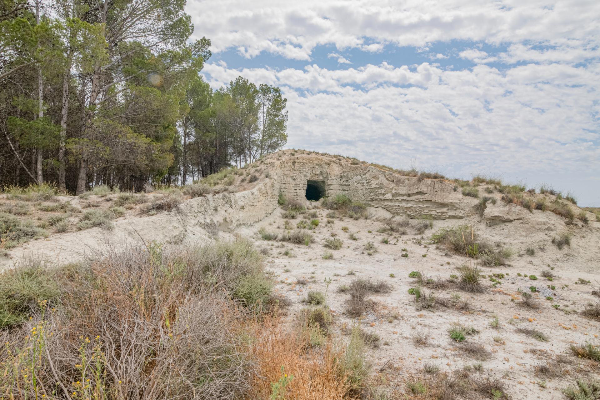 Finca for sale in Baza, Granada, Spain