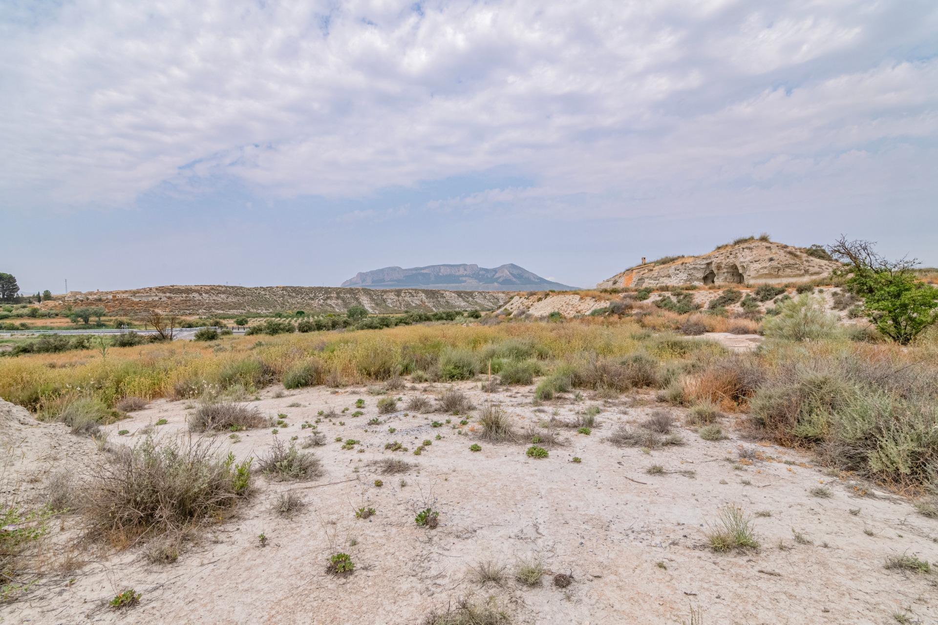 Finca for sale in Baza, Granada, Spain
