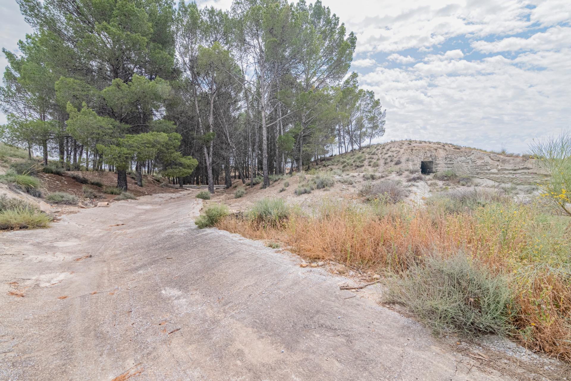 Finca for sale in Baza, Granada, Spain