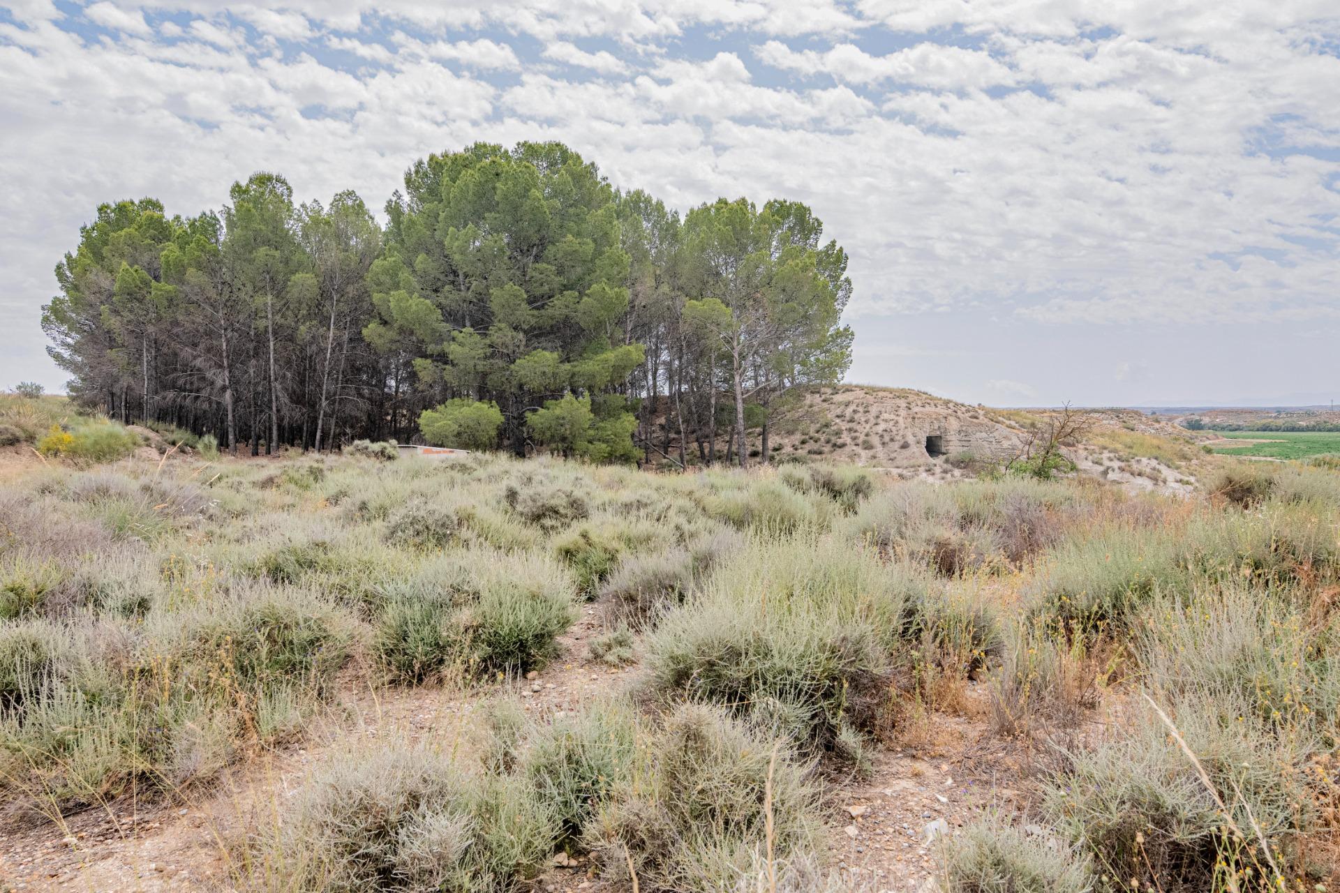Finca for sale in Baza, Granada, Spain