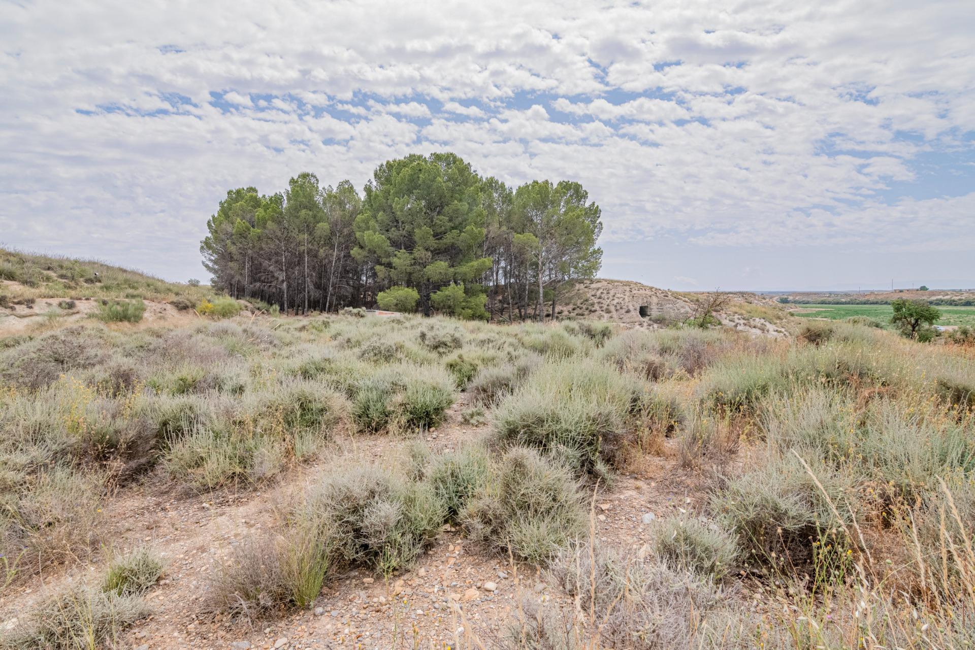 Finca for sale in Baza, Granada, Spain