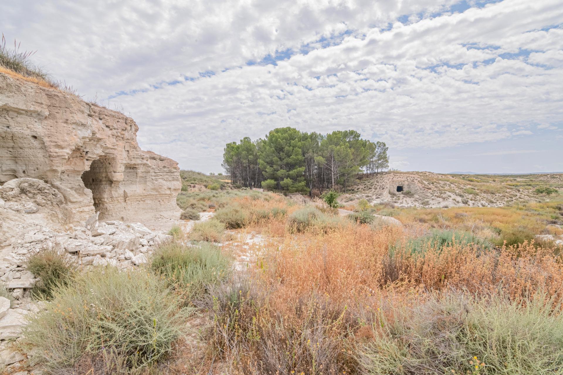 Finca for sale in Baza, Granada, Spain
