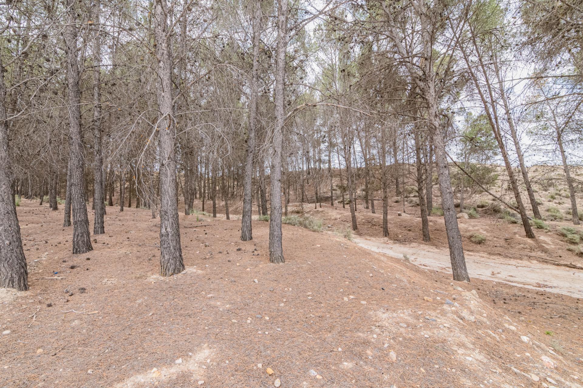 Finca for sale in Baza, Granada, Spain