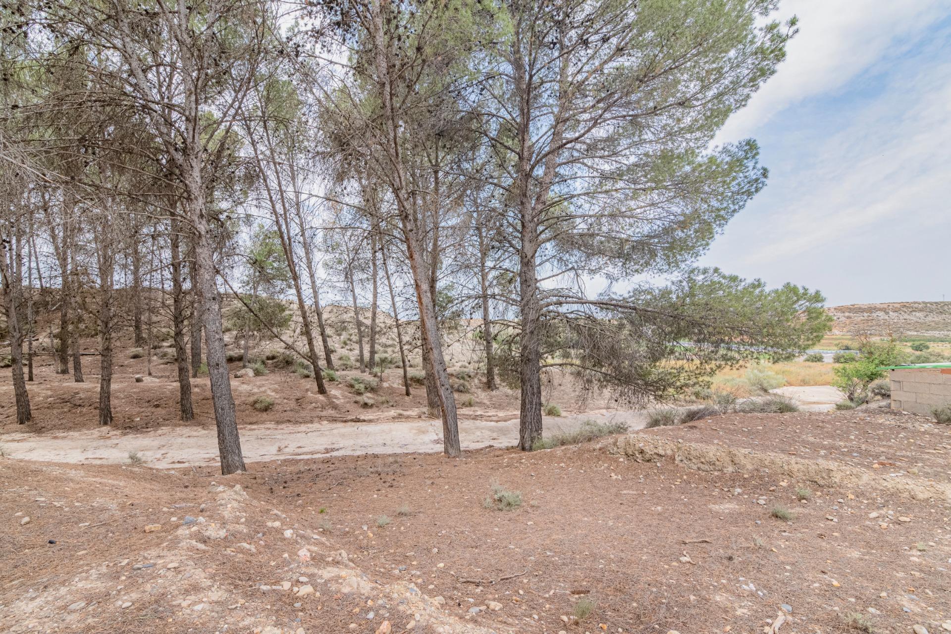 Finca for sale in Baza, Granada, Spain