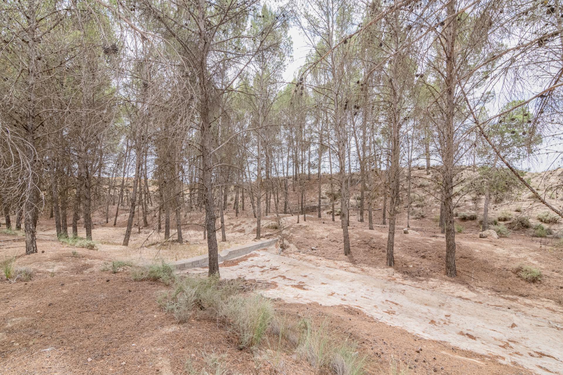 Finca for sale in Baza, Granada, Spain