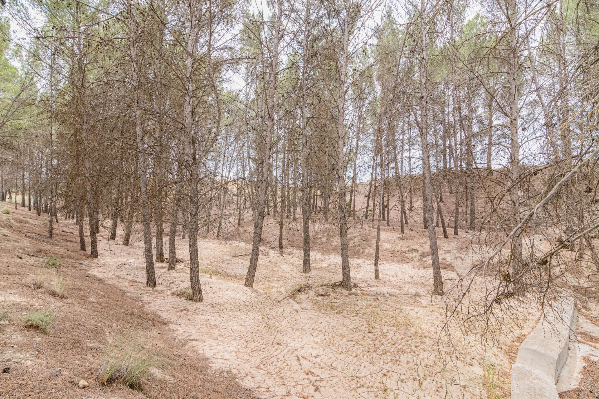 Finca for sale in Baza, Granada, Spain