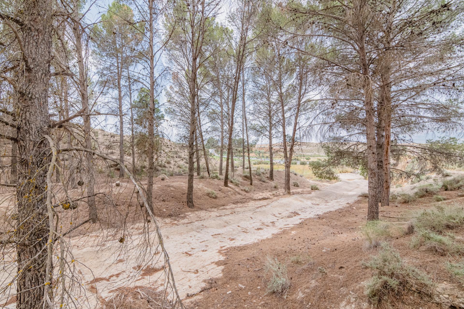 Finca for sale in Baza, Granada, Spain