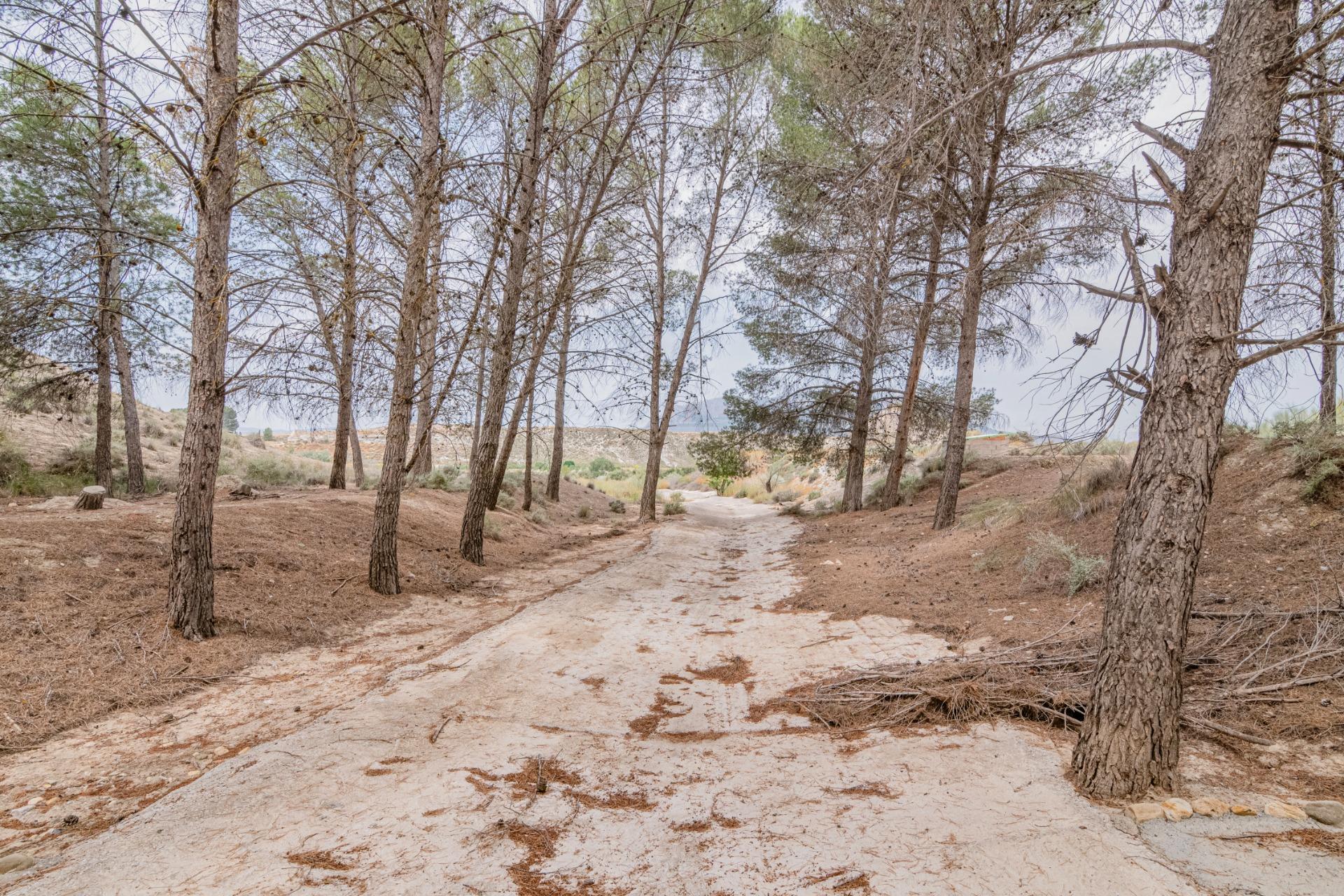 Finca for sale in Baza, Granada, Spain