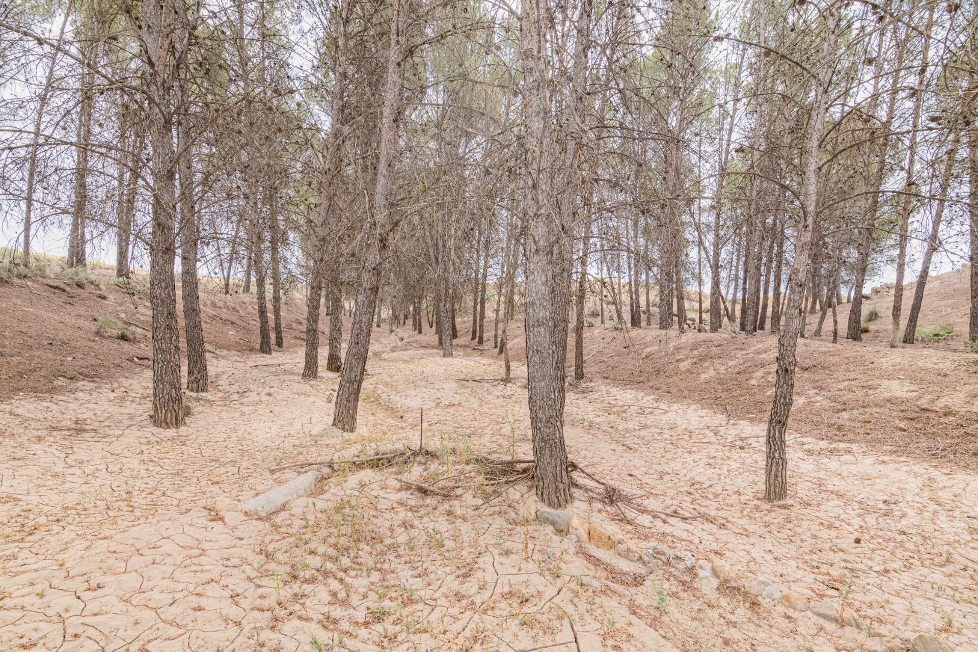 Finca for sale in Baza, Granada, Spain