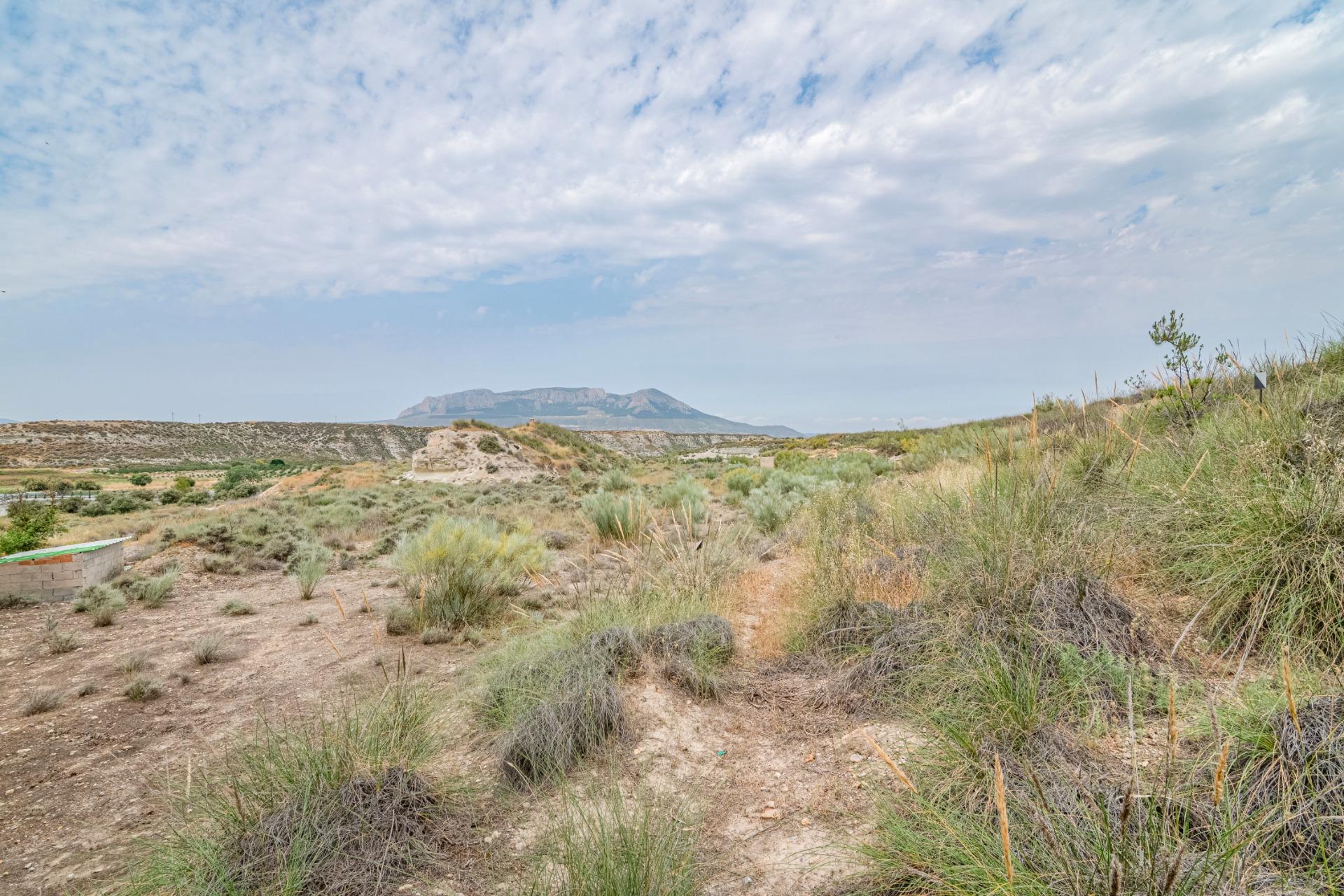 Finca for sale in Baza, Granada, Spain