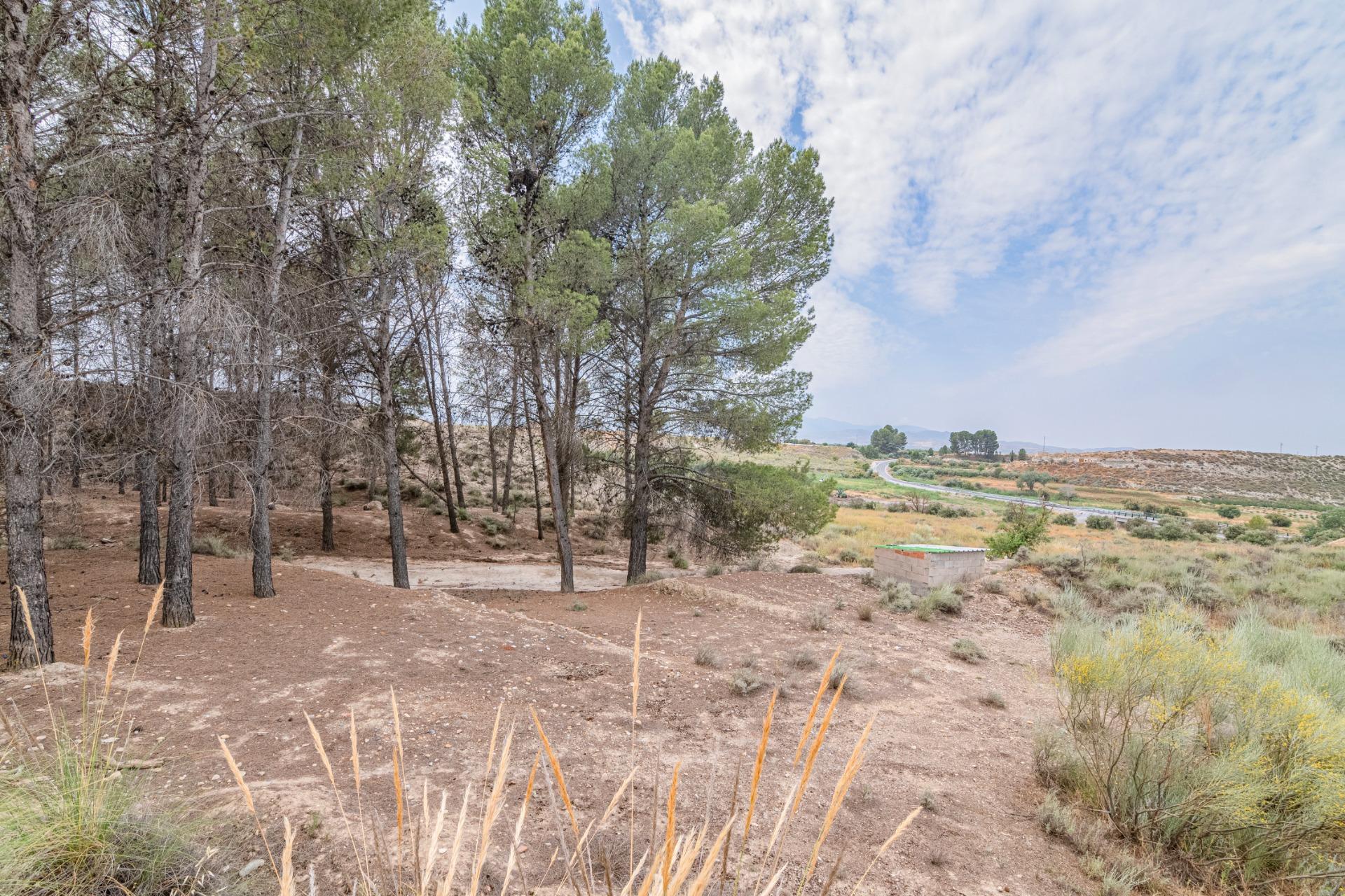 Finca for sale in Baza, Granada, Spain