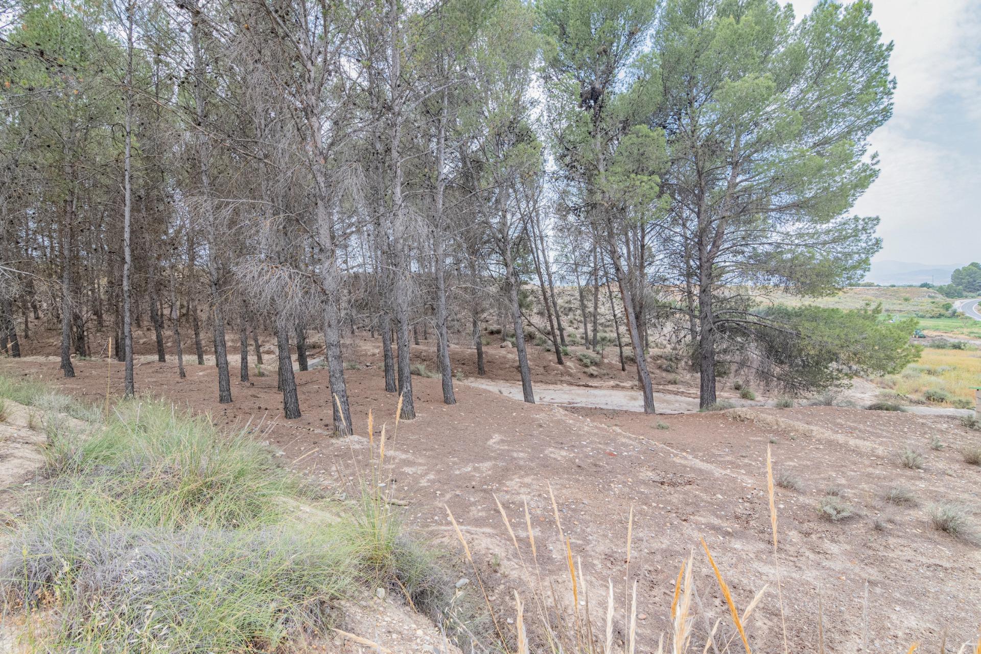 Finca for sale in Baza, Granada, Spain