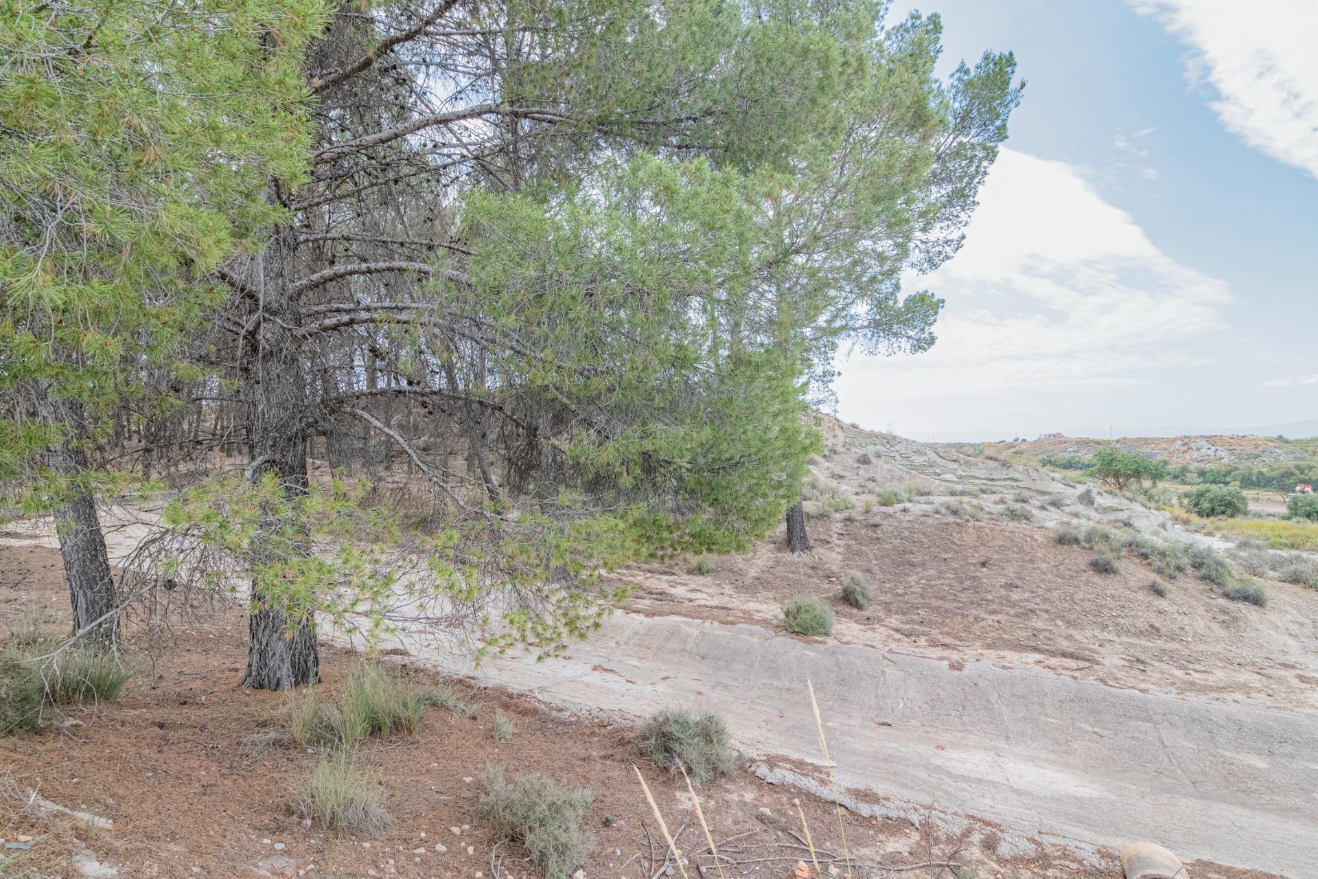 Finca for sale in Baza, Granada, Spain