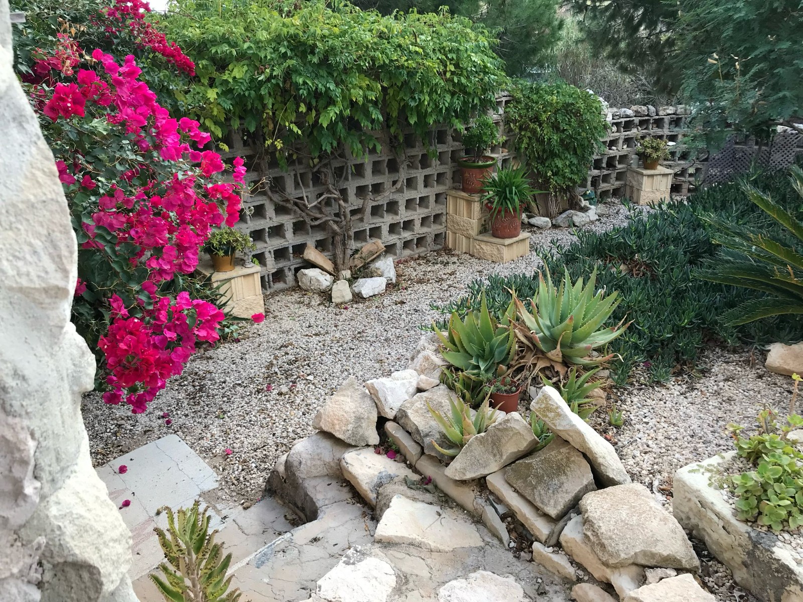 Commercial Property for sale in Monóvarmonóver, Alicante, Spain