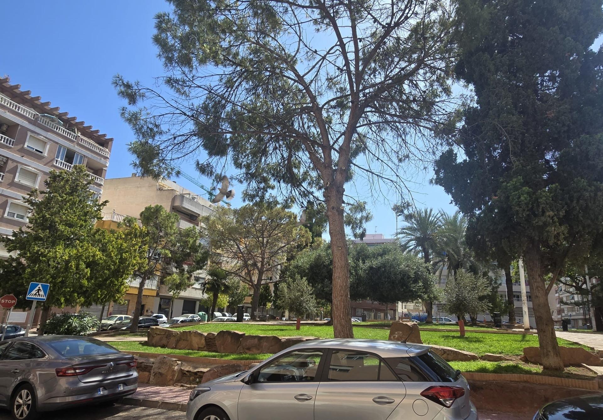 Piso en venta en Torrevieja