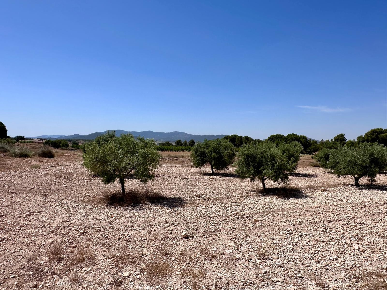 Finca en venta en Monóvarmonóver