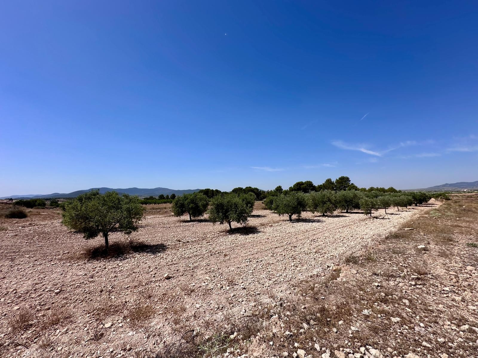 Finca en venta en Monóvarmonóver