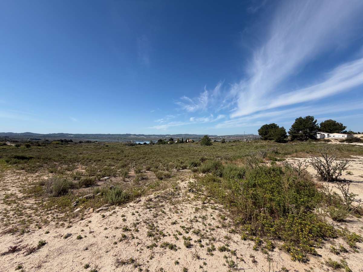 Finca en venta en Torremendo