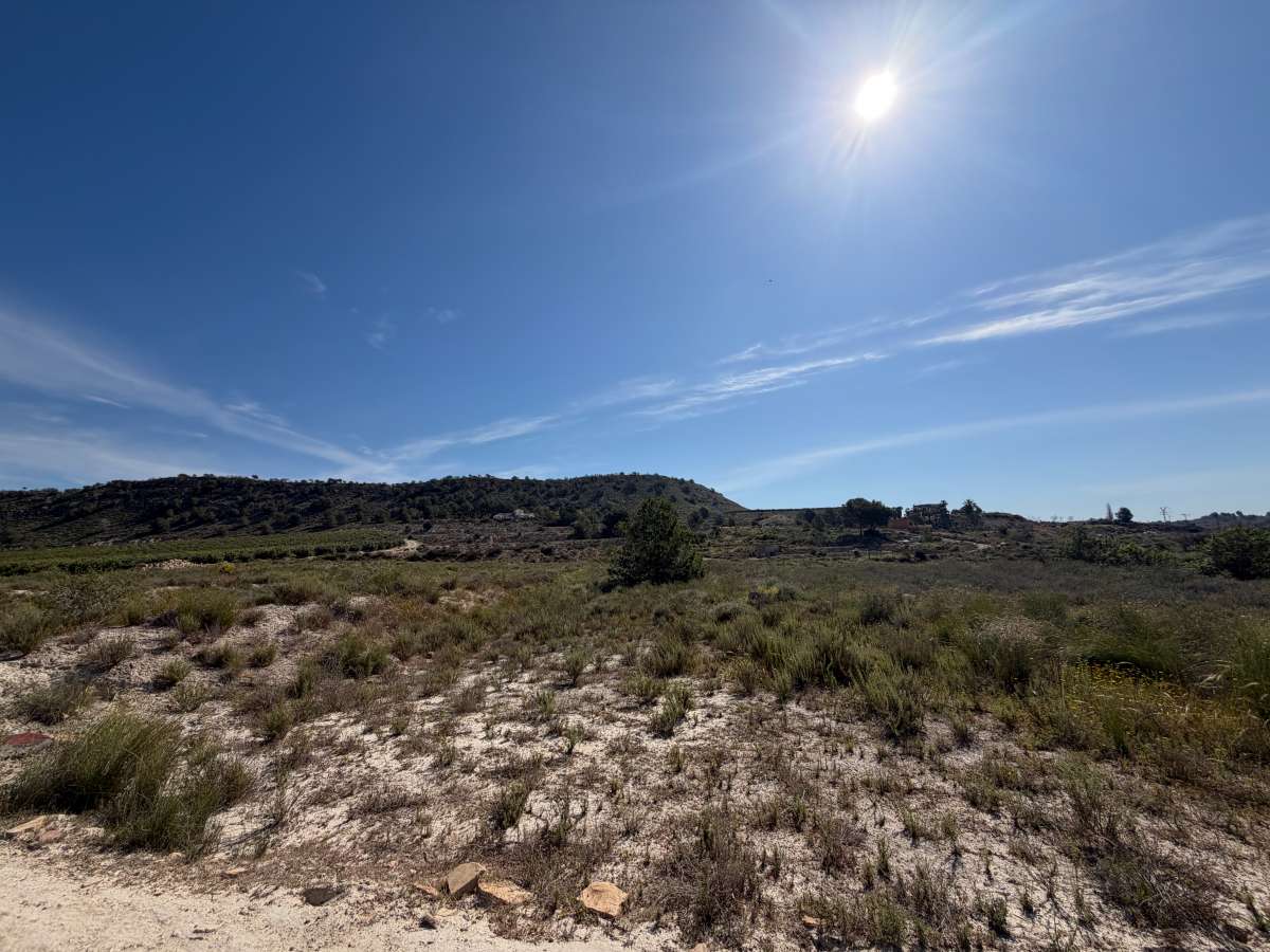 Finca en venta en Torremendo
