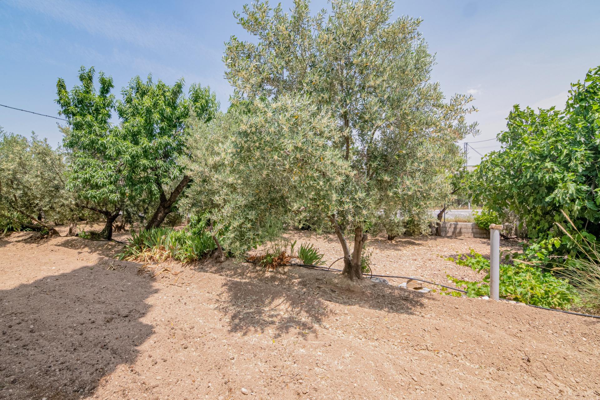 Finca for sale in Baza, Granada, Spain