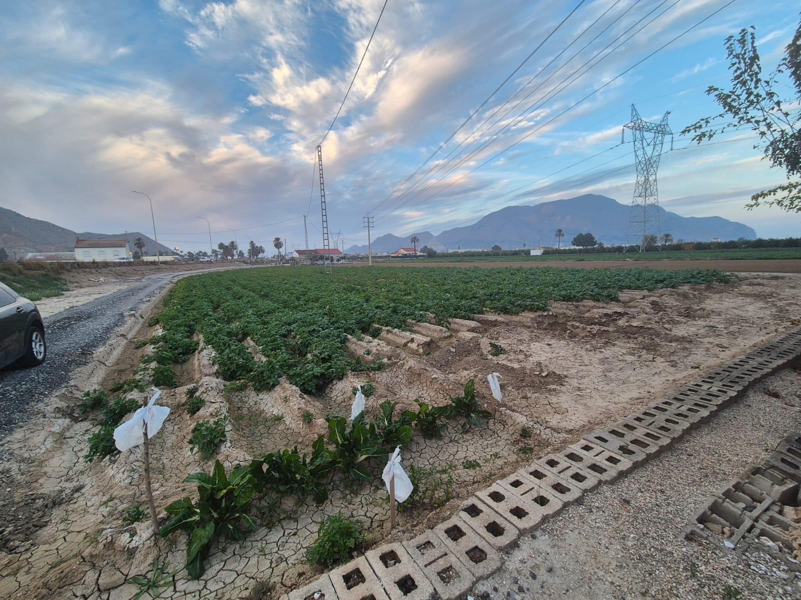Finca en venta en Orihuela