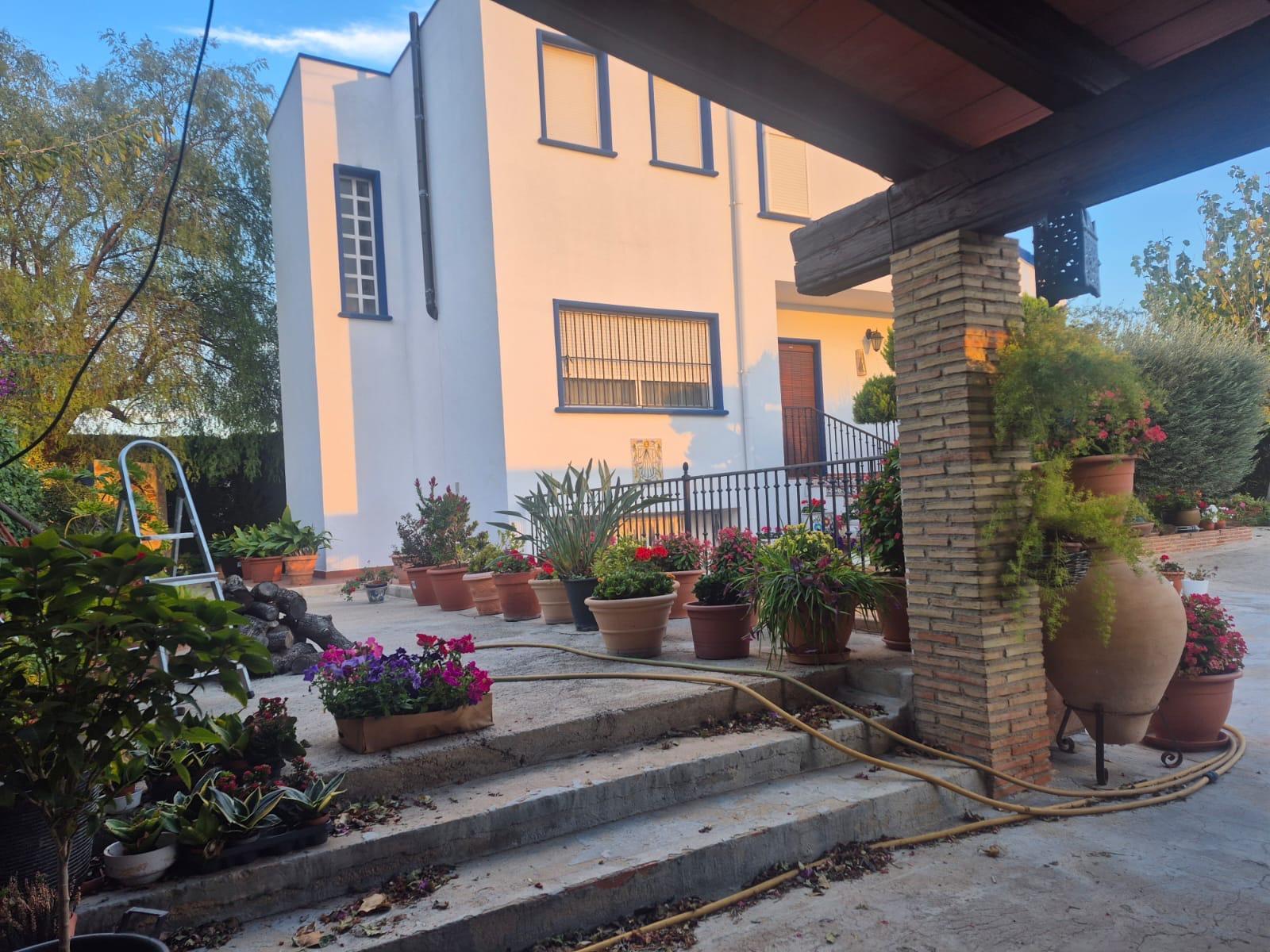 Finca en venta en Orihuela