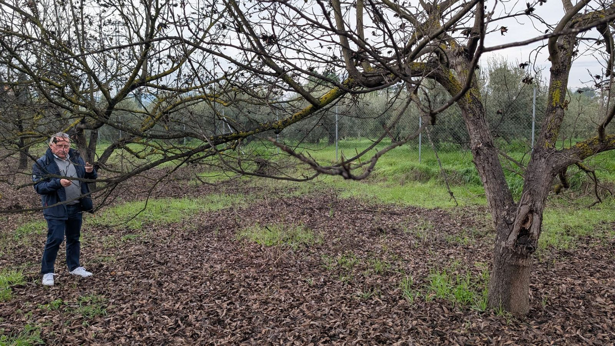 Finca en venta en Alhaurin El Grande