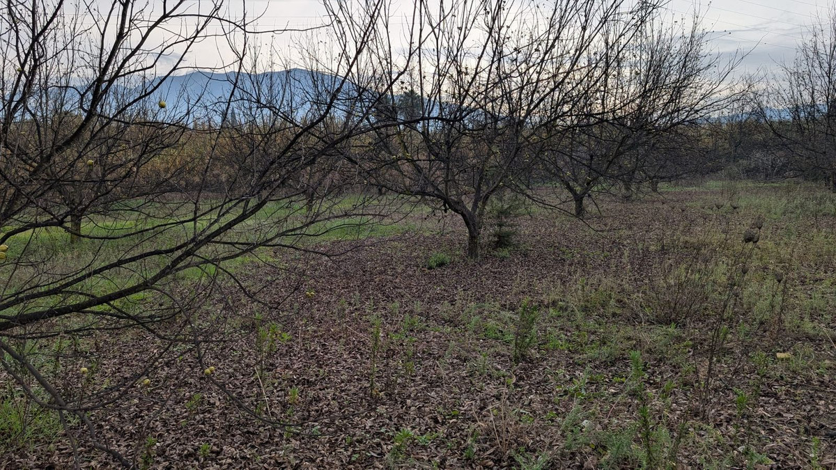 Finca en venta en Alhaurin El Grande