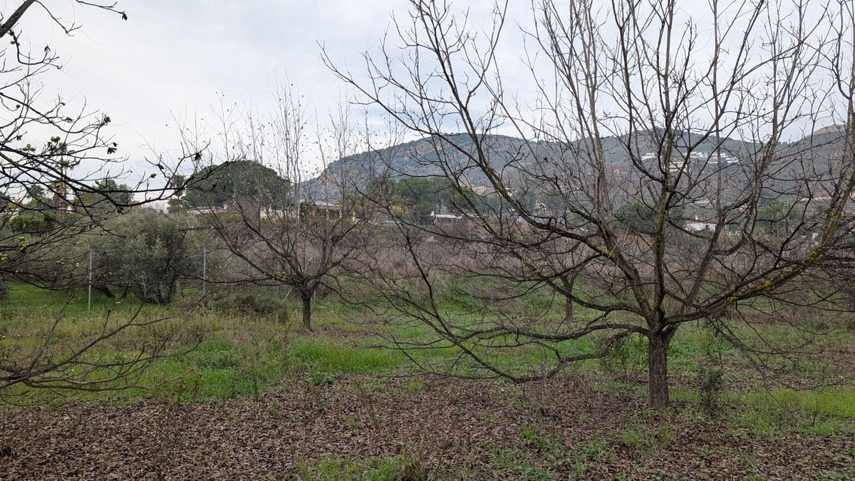 Finca en venta en Alhaurin El Grande