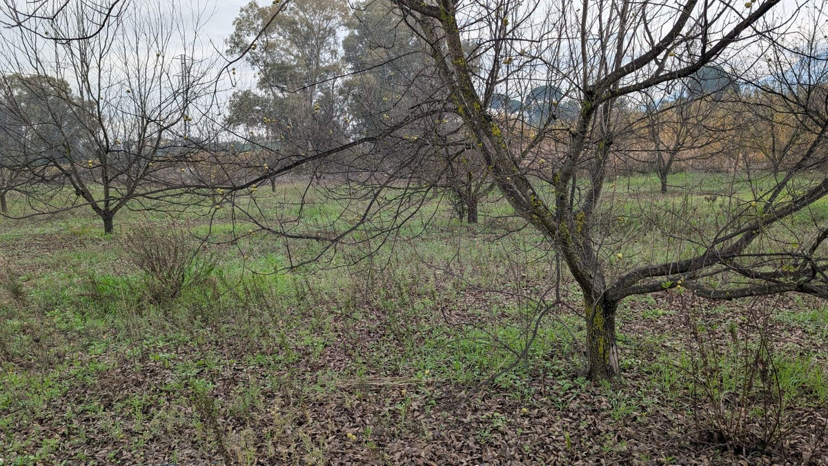 Finca en venta en Alhaurin El Grande