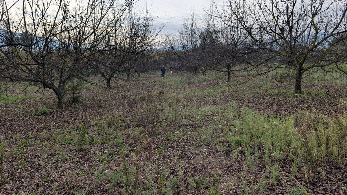 Finca en venta en Alhaurin El Grande