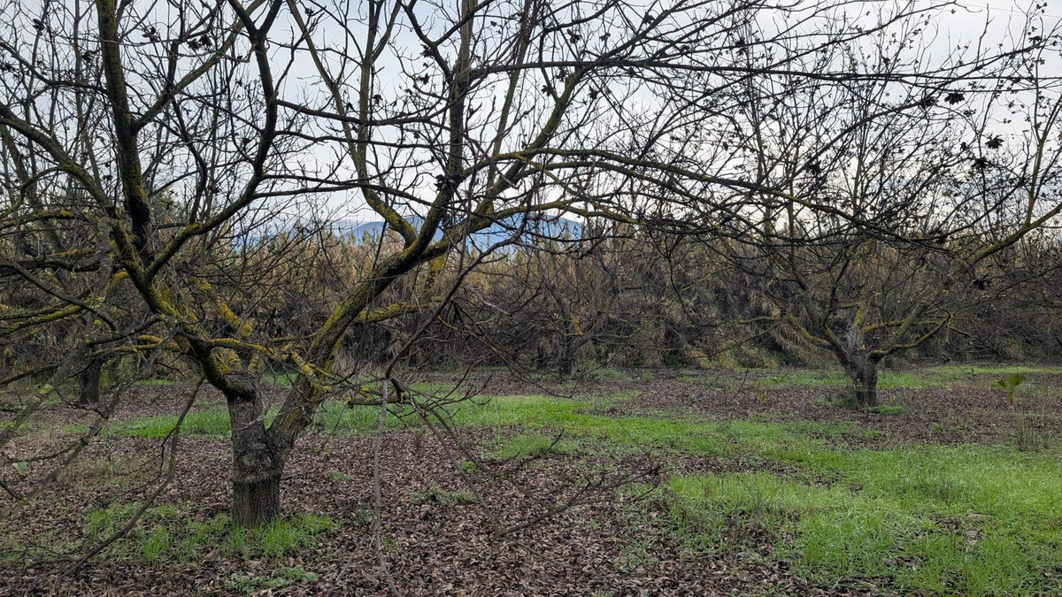 Finca en venta en Alhaurin El Grande
