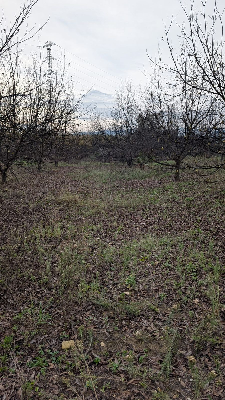 Finca en venta en Alhaurin El Grande