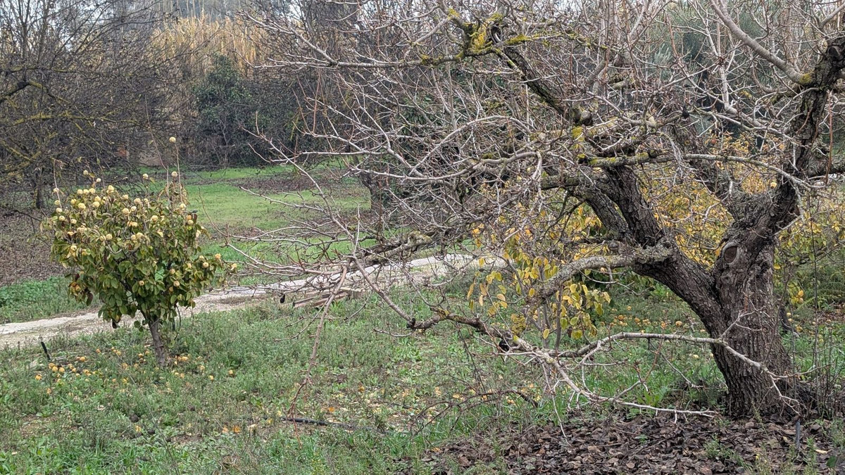 Finca en venta en Alhaurin El Grande