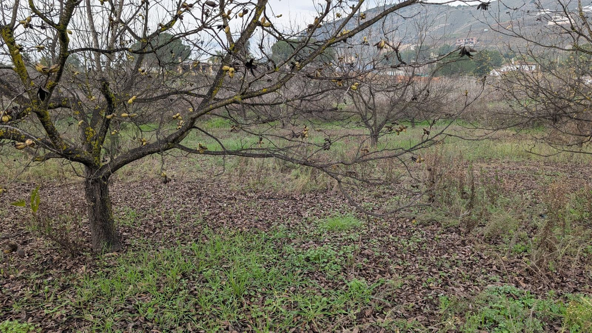 Finca en venta en Alhaurin El Grande